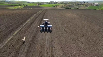 Tekirdağ&rsquo;da ay&ccedil;i&ccedil;eği ekimi
