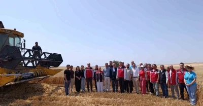 Tekirdağ&rsquo;da bitkisel yağ &uuml;retiminde gıda g&uuml;venliği mercek altında
