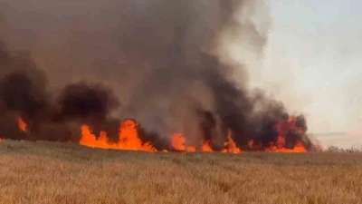 Tekirdağ&rsquo;da buğday tarlalarına sı&ccedil;rayan yangında 300 d&ouml;n&uuml;m alan k&uuml;l oldu
