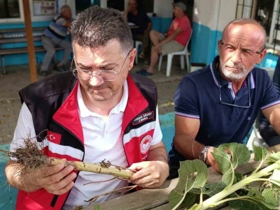 Tekirdağ&rsquo;da dolunun vurduğu k&ouml;ylerde hasar tespit &ccedil;alışmaları s&uuml;r&uuml;yor
