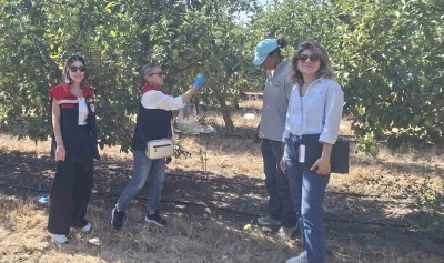 Tekirdağ’da hasat öncesi pestisit denetimleri yapılıyor
