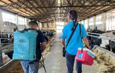 Tekirdağ’da hayvan hastalıklarıyla mücadelede aşılama çalışmaları sürüyor

