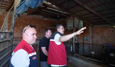 Tekirdağ&rsquo;da hayvancılık faaliyetleri yerinde incelendi
