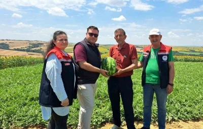Tekirdağ&rsquo;da ilk karpuz hasadı başladı

