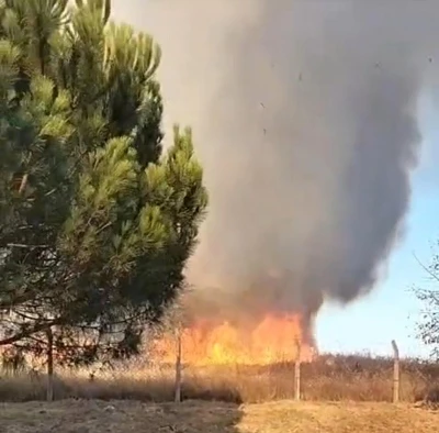 Tekirdağ’da korkutan yangın

