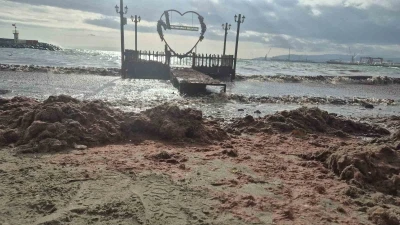 Tekirdağ&rsquo;da lodos kıyıyı vurdu, kızıl yosunlar sahili kapladı
