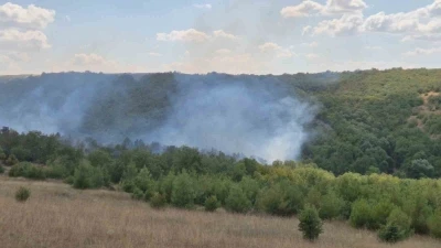 Tekirdağ’da orman yangını
