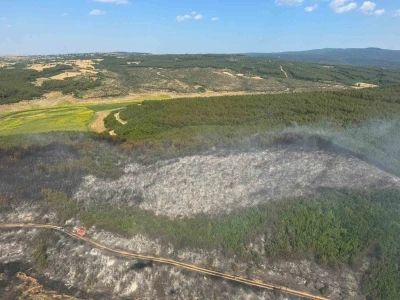 Tekirdağ&rsquo;da orman yangını: Ekipler havadan ve karadan seferber oldu
