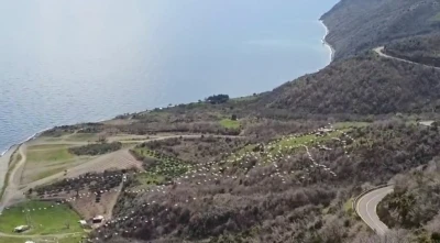 Tekirdağ&rsquo;da pelikanların senkronize u&ccedil;uşu g&ouml;rsel ş&ouml;len sundu
