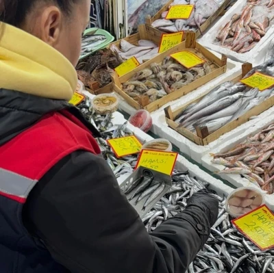 Tekirdağ&rsquo;da perakende balık satış noktalarına sıkı denetim
