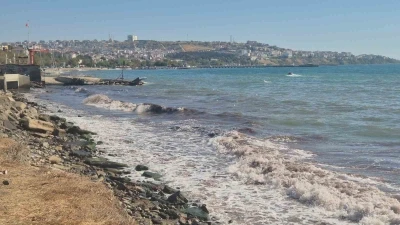 Tekirdağ’da poyraz fırtınası kıyılarda kızıl yosunlara neden oldu
