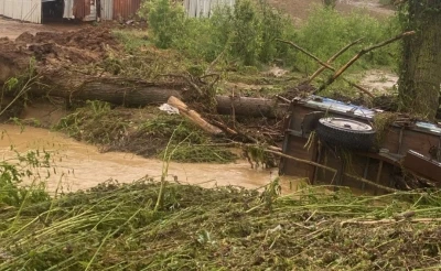 Tekirdağ&rsquo;da sağanak sonrası 5 ila 6 bin dekarlık alanda hasar oluştu

