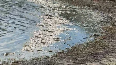 Tekirdağ’da su seviyesi azalan gölette balık ölümleri meydana geldi
