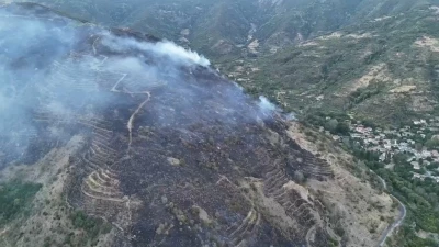 Tekirdağ Valiliği: &quot;Uçmakdere’deki orman yangını kontrol altına alındı&quot;
