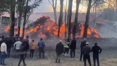 Tekman’da korkutan ot yangını
