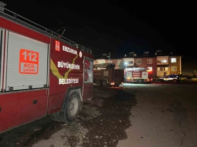 Tekman’da korkutan yangın
