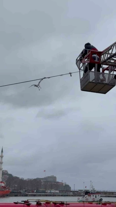 Tellerde mahsur kalan martıyı itfaiye ekipleri kurtardı
