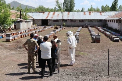 Tercan&rsquo;da arıcılık ve seracılık faaliyetlerine yakın takip
