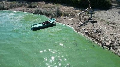 Terkos Gölü’nde endişelendiren görüntü
