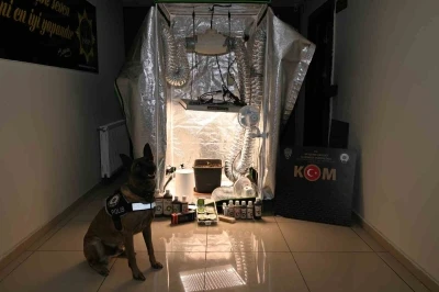 Test sonuçlarına para karşılığı müdahale: 20 gözaltı
