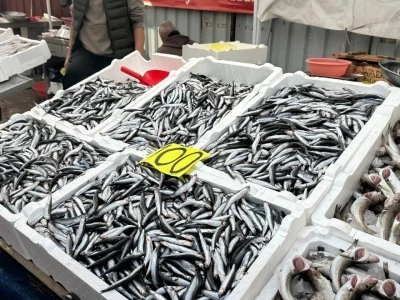 Tezgahta 100 liraya düşen hamsi yoğun ilgi gördü
