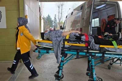 Ticari ara&ccedil; ağaca &ccedil;arptı: 1&rsquo;i &ccedil;ocuk 2 yaralı
