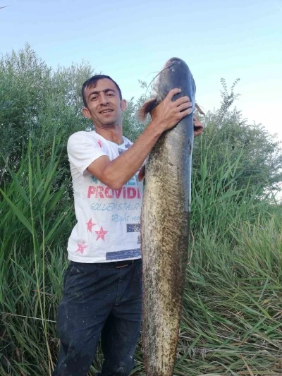 Timsah sandılar balık çıktı
