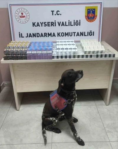 Tırdan 560 paket kaçak sigara ele geçirildi: 1 gözaltı
