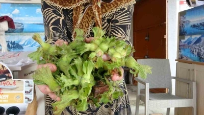 TMO 200 lira açıkladı, tezgahta 300 liradan satışı başladı
