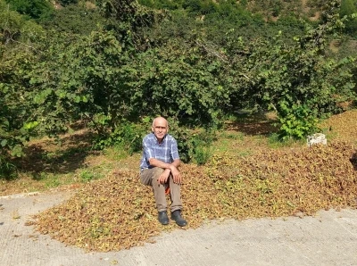 TMO 2025 fındık fiyatlarını açıkladı, gözler serbest piyasada
