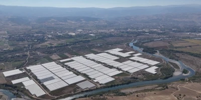 Tokat çiçekçilikte bölge lideri oldu; 600 dekarda 20 çeşit çiçek yetiştiriliyor
