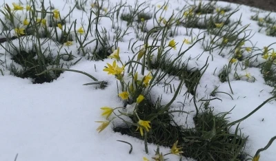 Tokat&rsquo;ın &ccedil;atı katında bahar ayındaki kış manzarası mest etti
