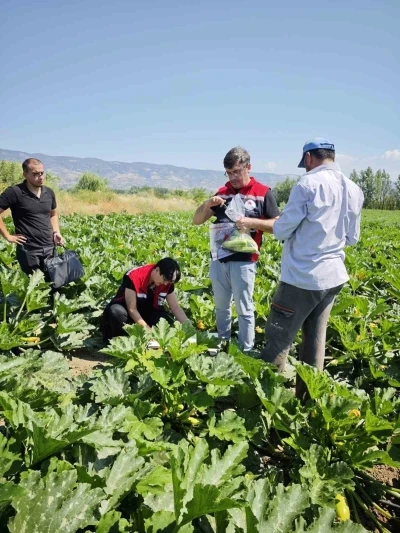 Tokat’ta hasat öncesi pestisit denetimi yapıldı
