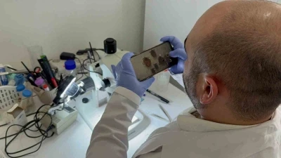Tokat&rsquo;ta uzmanından kene uyarısı: İklim d&uuml;zensizliği ve k&uuml;resel ısınma kene sezonunu uzatıyor
