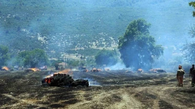 Tonlarca saman balyası yandı
