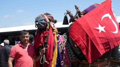 Tonluk develer ve danalar g&ouml;r&uuml;c&uuml;ye &ccedil;ıktı: Kurban pazarının g&ouml;zdesi develer oldu
