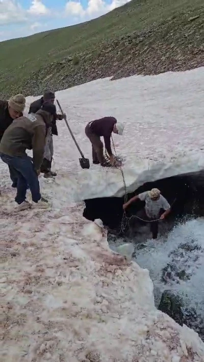 Tortum&rsquo;da buzullarda dana kurtarma operasyonu
