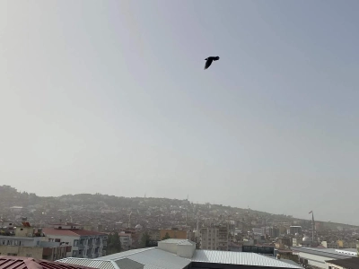 Toz Taşınımı Hayatı Olumsuz Etkiliyor