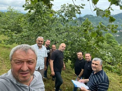 Trabzon&rsquo;da fındıkta rekolte tespiti &ccedil;alışmaları başladı
