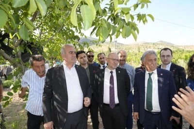 Trabzon hurması, dut ve incire destek &ouml;demesi başladı