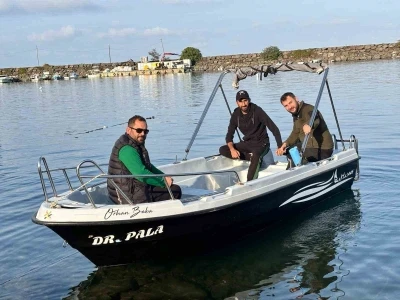 Trabzon kıyılarında köpek balığı hareketliliği arttı
