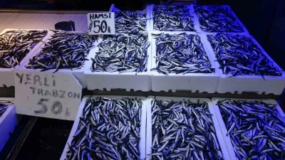 Trabzonlular hamsiye doydu
