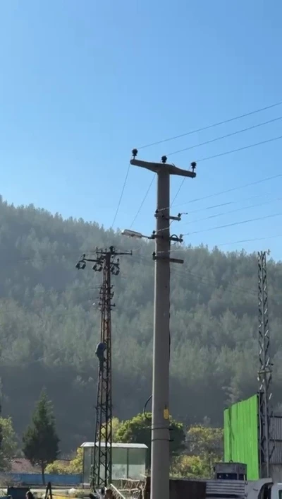 Trafik cezasına öfkelenen sürücü elektrik direğine çıktı
