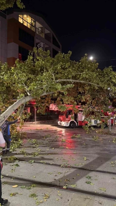 Tramvay hattına d&uuml;şen dal seferleri aksattı
