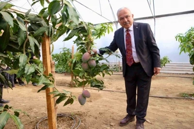 Tropik bitkilerden sebzeye: Öğrenciler seralarda deneyim kazanıyor
