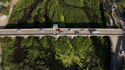 Tunca Nehri’nde kuraklık: Otlar yayıldı, su yüzeyi yeşile döndü
