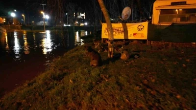 Tunca Nehri taştı: Suyla dolan Sarayi&ccedil;i g&uuml;reş alanında k&ouml;pekler mahsur kaldı
