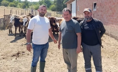Tun&ccedil;bilek&rsquo;te daha sağlıklı hayvancılık i&ccedil;in ila&ccedil;lama yapıldı
