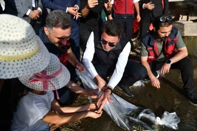 Tunceli’de 850 bin adet balık suyla buluşturuldu
