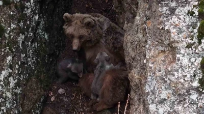 Tunceli&rsquo;de belgeselleri aratmayan g&ouml;r&uuml;nt&uuml;ler
